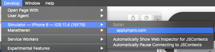 Safari's Develop Menu